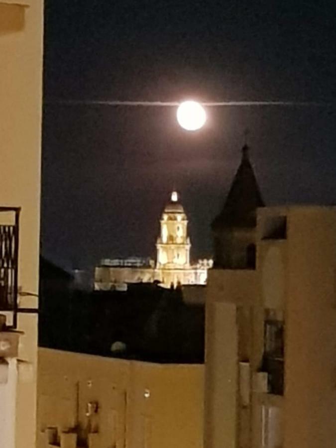 Apartamento Con Vistas A La Catedral A 15 Minutos Del Centro مالقة المظهر الخارجي الصورة